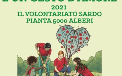 Pianta un albero: è un gesto d’amore